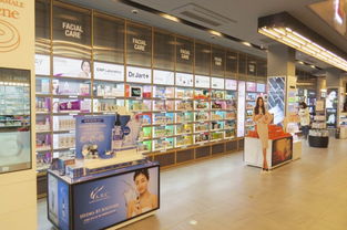 家具與文化用品設(shè)計(jì)產(chǎn)業(yè)鏈 從生產(chǎn)到招商的完整生態(tài)